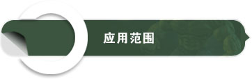 九游俱乐部